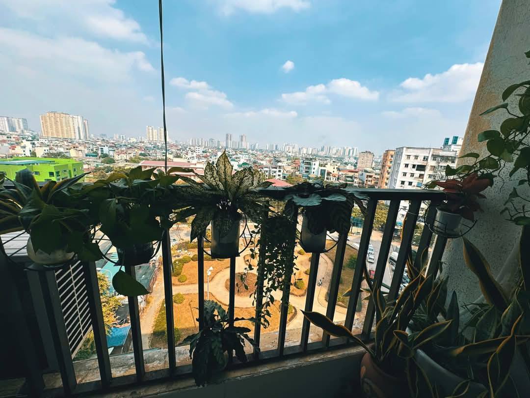 Bán căn góc chung cư Đồng Tàu - Thịnh Liệt, Hoàng Mai, Hà Nội