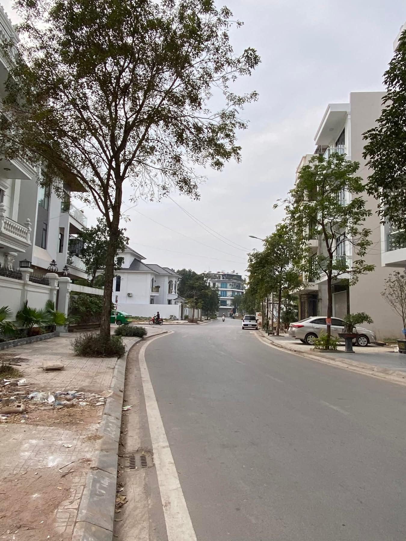 Bán biệt thự thành phố Bắc Giang, tỉnh Bắc Giang giá cả thương lượng