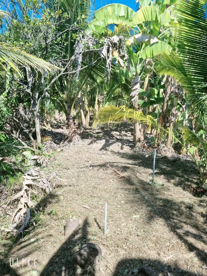 Bán nhà riêng huyện Châu Thành, tỉnh Bến Tre giá cả thương lượng