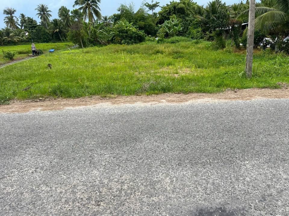 Bán đất mặt tiền giáp lộ nhựa 8 tấn, vị trí đẹp vừa ở vừa kinh doanh tại xã Tân An Hội, Mang Thít, Vĩnh Long