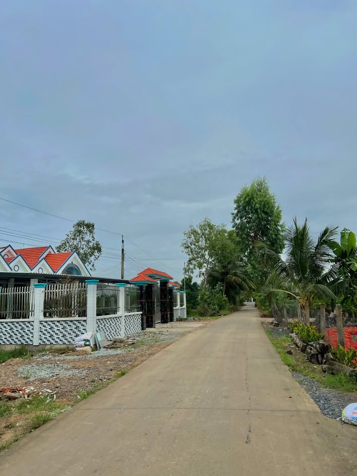 Bán đất vườn dừa diện tích 3400m2 tại Bến Lức, Long An, đường bê tông xe hơi ra vào thoải mái