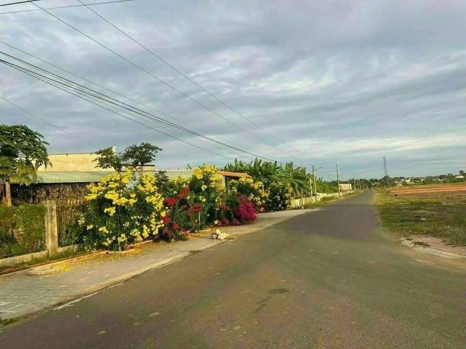 Bán đất thành phố Bà Rịa, tỉnh Bà Rịa, Vũng Tàu giá cả thương lượng