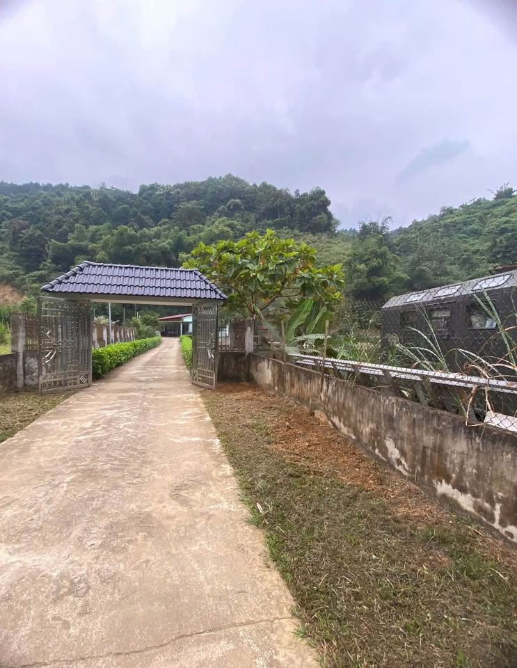 Bán nhà riêng huyện Bát Xát, tỉnh Lào Cai giá cả thương lượng