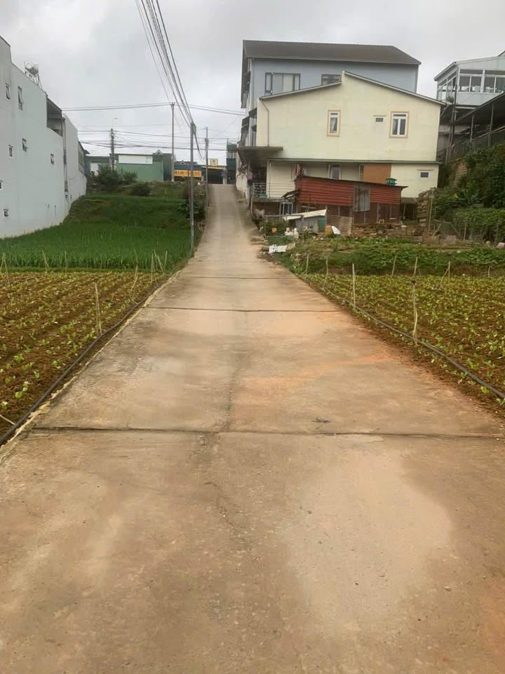 Cho thuê phòng trọ thành phố Đà Lạt, tỉnh Lâm Đồng giá 5 tỷ