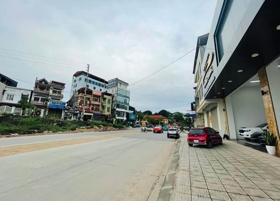 Bán đất trục chính đường Bắc Sơn, cách Ngã Tư Cứu Hoả-Lương Ngọc Quyến 100m