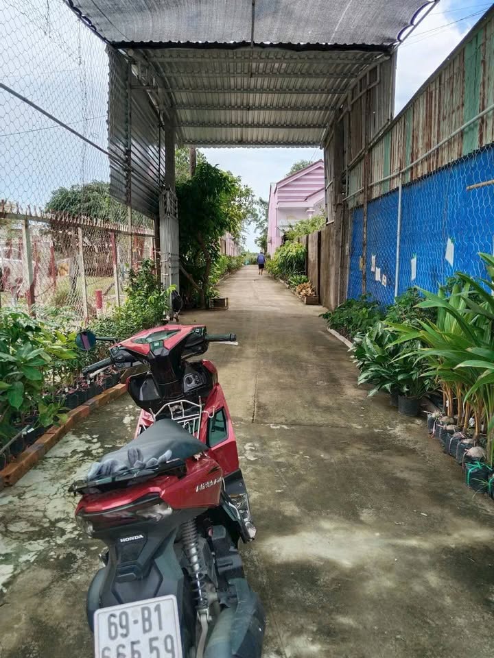 Bán đất huyện Thới Bình tỉnh Cà Mau giá cả thương lượng