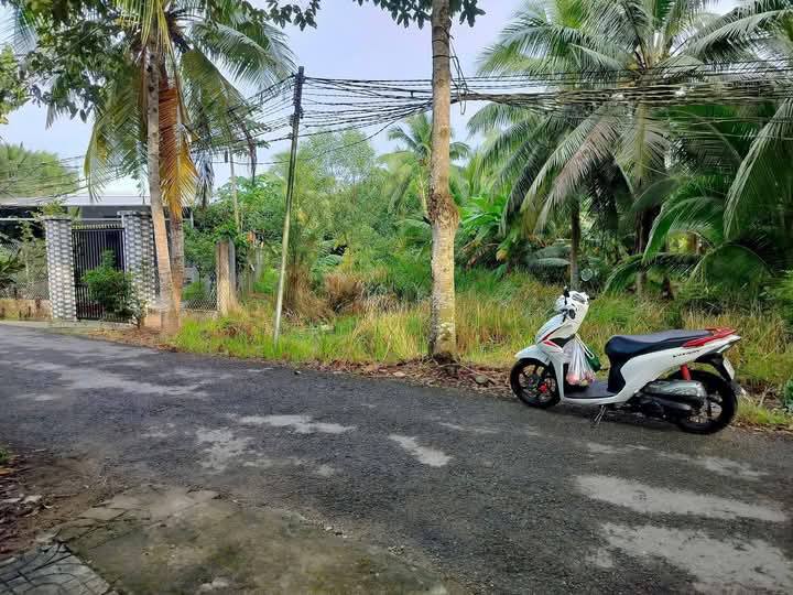 Cho thuê nhà riêng thành phố Bến Tre tỉnh Bến Tre, giá 3.9 triệu