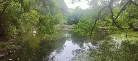 Chính chủ bán lô đất 2000m2 tại Đại Áng, Ninh Hoà, Hoa Lư, gần Tuyệt Tình Cốc