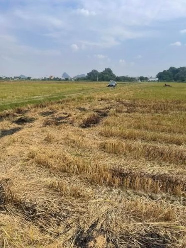 Bán đất huyện Hoa Lư tỉnh Ninh Bình giá cả thương lượng