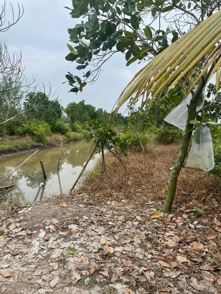 Cần bán đất tại Ấp 2, xã Mỹ Đông, hẻm nhựa 5m, giá 2,6 tỷ