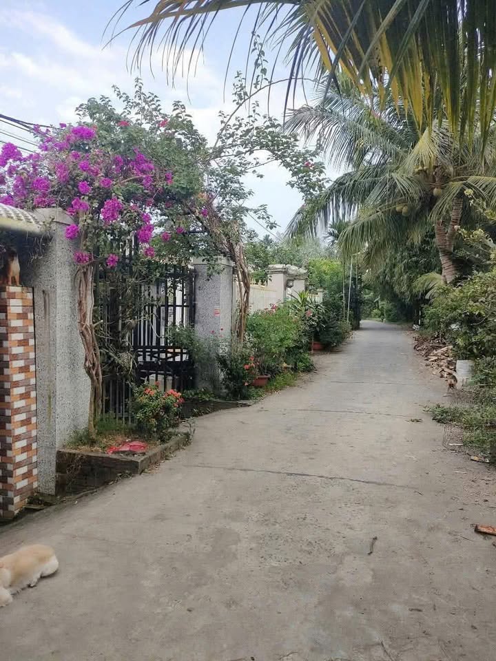 Bán đất nền Mỹ Khánh, Phong Điền, 157m2, lộ 3.5m, giá 6xx triệu