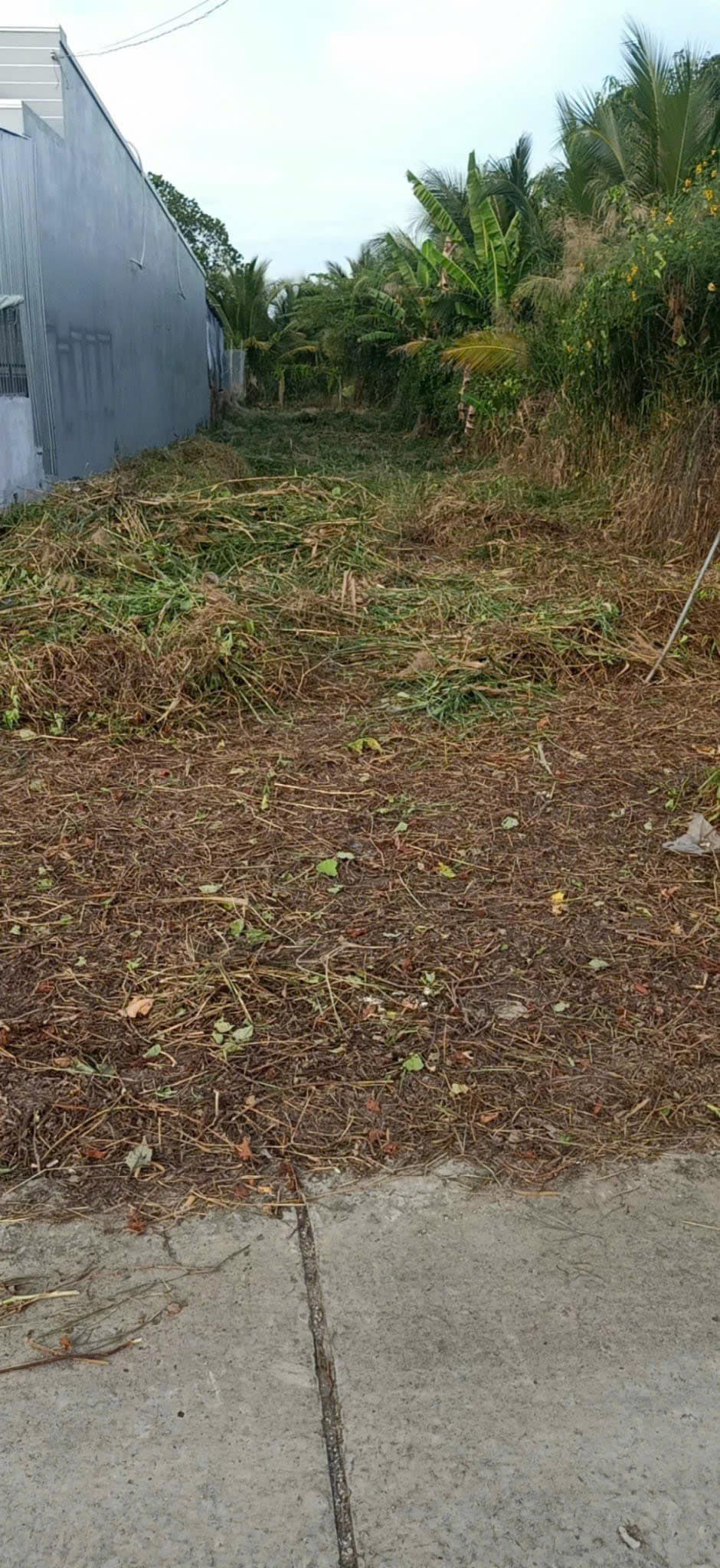 Bán đất tại Giục Tượng, Châu Thành, Kiên Giang, diện tích 404,7m2, gần cây xăng