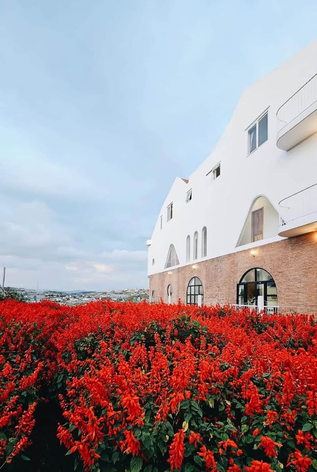 Bán khách sạn Nam Hồ, phường 11, Đà Lạt, đường ô tô, giá 25 tỷ