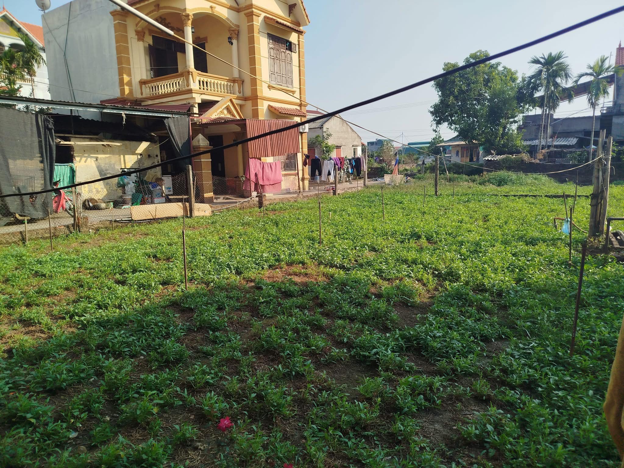 Chủ nhà có 400m2 đất tại Thư Phú, Thường Tín cần bán, giá 25 triệu/m2