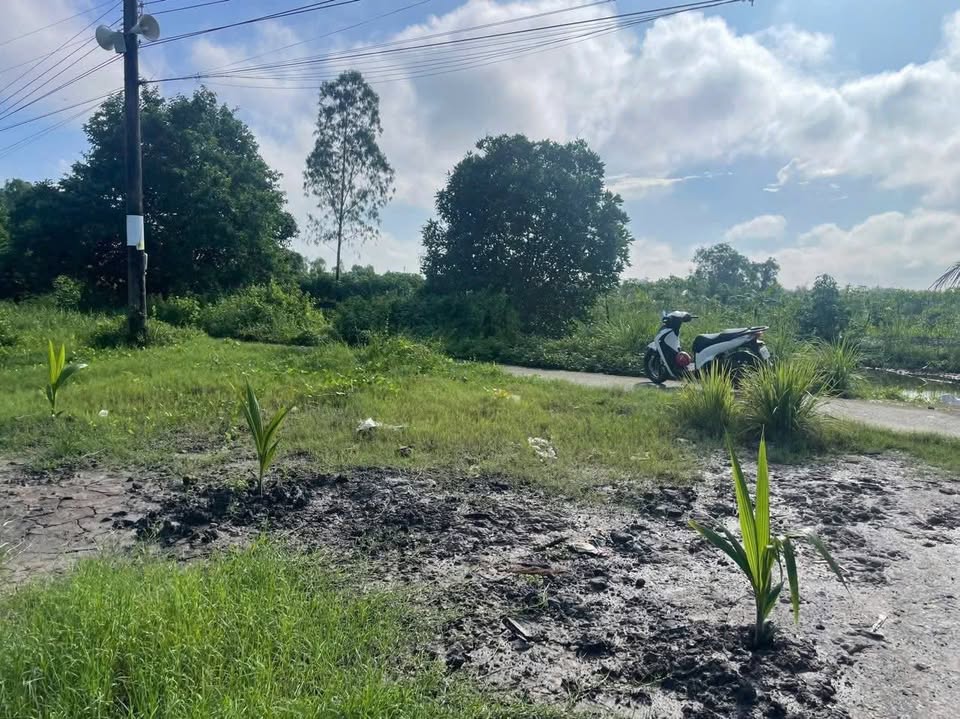 Bán gần 6000m2 đất mặt tiền Kênh Đạo, Cà Mau - Cơ hội đầu tư hấp dẫn