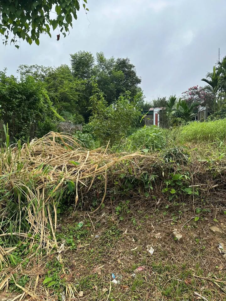 Bán đất 80m2, đường Hoàng Quốc Việt, Hà Nội, giá 1 tỷ