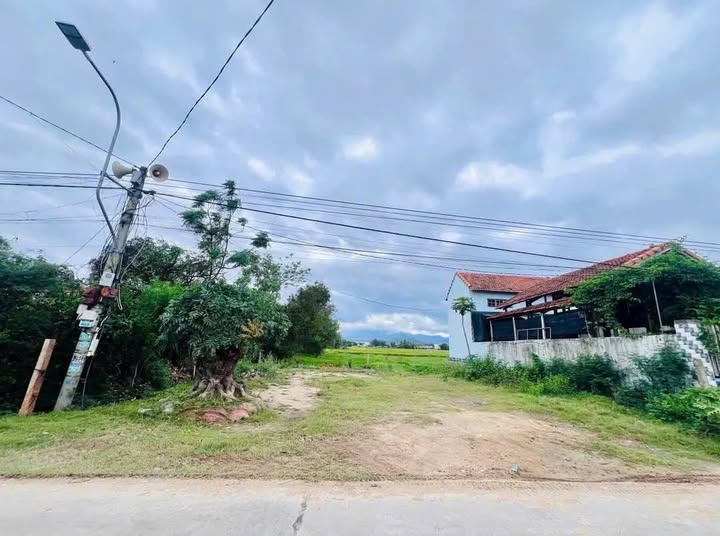 Đất vàng Ninh Hòa - Mặt tiền kinh doanh, sổ đỏ trao tay, chỉ 1.65 tỷ!