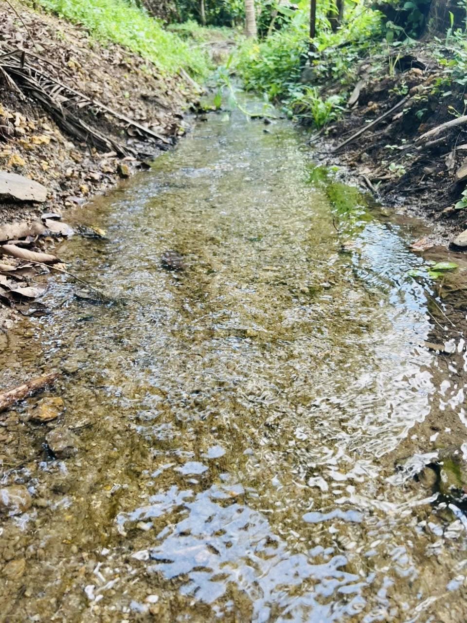 Đất vườn chill hết nấc ở Bảo Vinh, Long Khánh - Mặt tiền siêu rộng, giá chỉ 1.5 tỷ