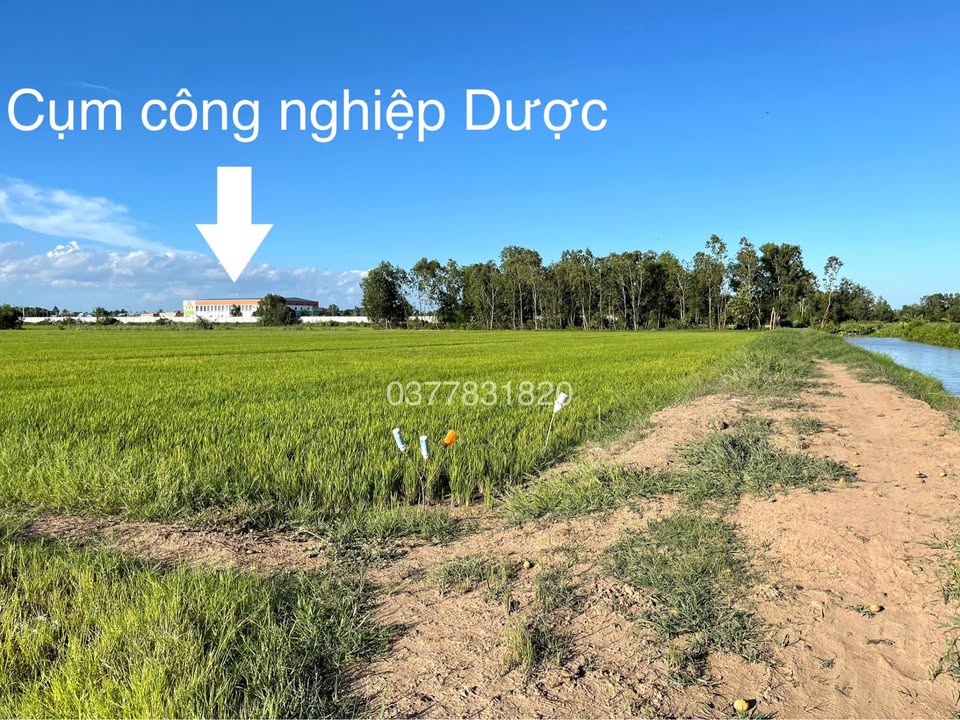 Đất vàng 1264m2, 3 mặt tiền bờ kênh, sẵn sàng lên thổ cư