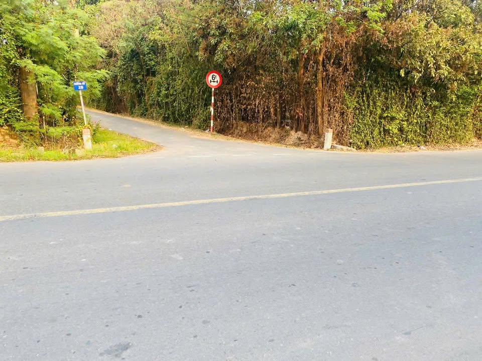 Đất nền Gò Dầu giá sập sàn 340 triệu, hốt ngay