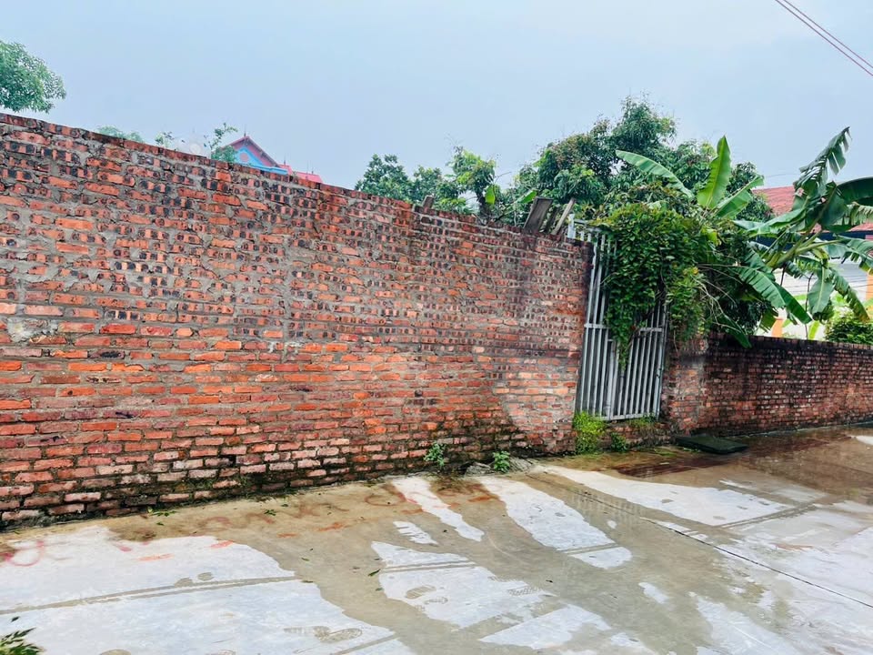 Bán đất Cầu Ngăm, Kim Anh, Mê Linh, 294,5m2, mặt tiền 11,75m, giá tốt cho nhà đầu tư