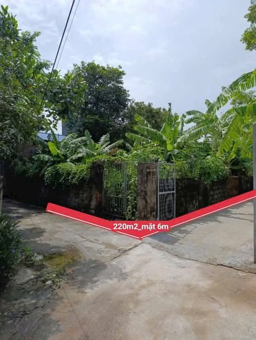 Bán đất 220m² mặt tiền 5,6m tại An Ninh, Bình Lục, Hà Nam
