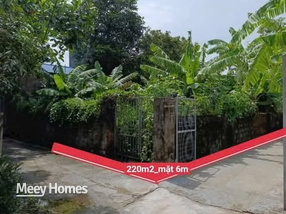 Bán đất 220m² mặt tiền 5,6m tại An Ninh, Bình Lục, Hà Nam