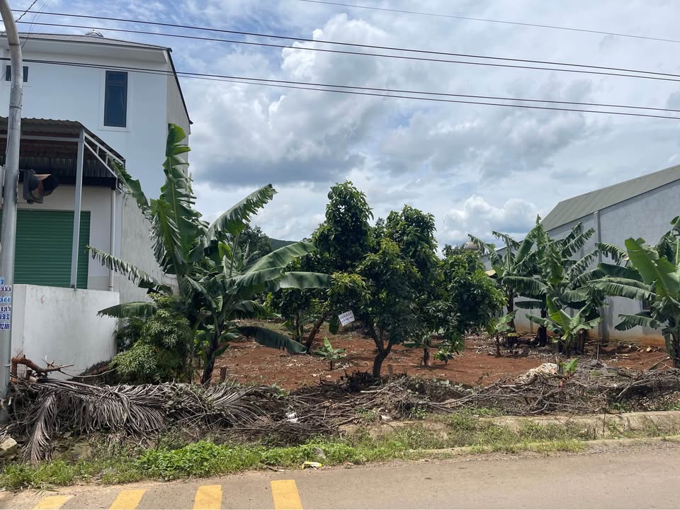 Bán đất mặt tiền đường nhựa, 1000m2 thổ cư, Đức Trọng, Lâm Đồng