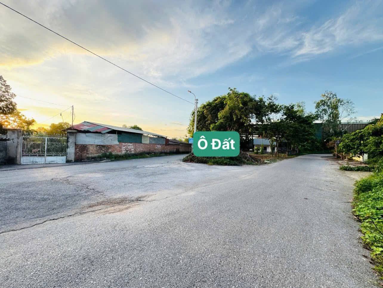 Điền viên Đạo Tú - Siêu phẩm ba mặt tiền, ngắm cảnh hồ thơ mộng