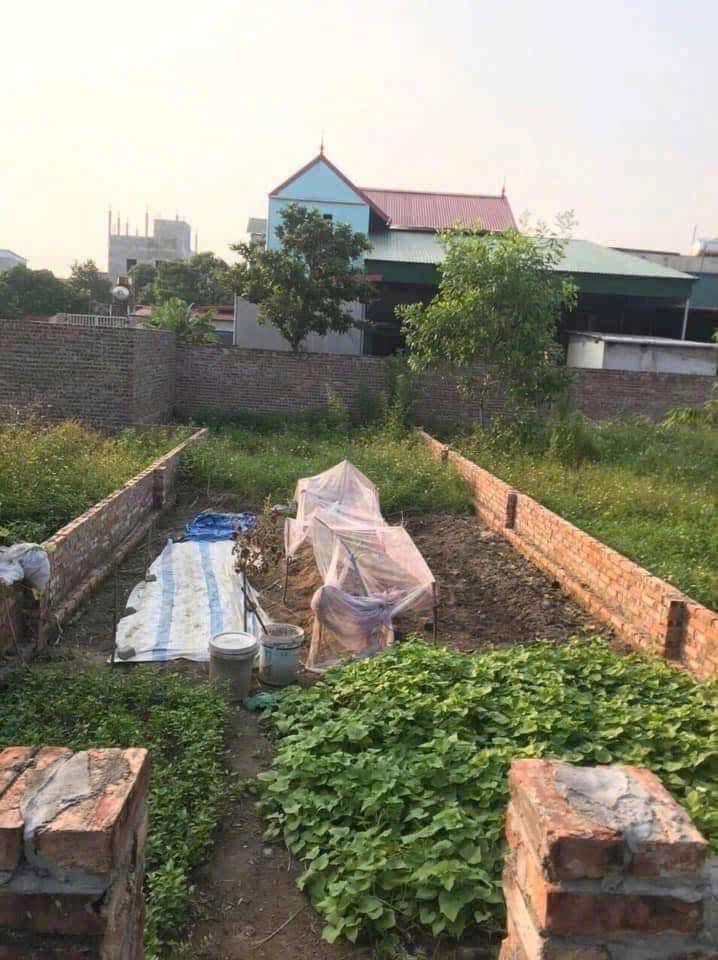 Đất đẹp Hoàn Sơn, Tiên Du - Đầu tư đỉnh chóp