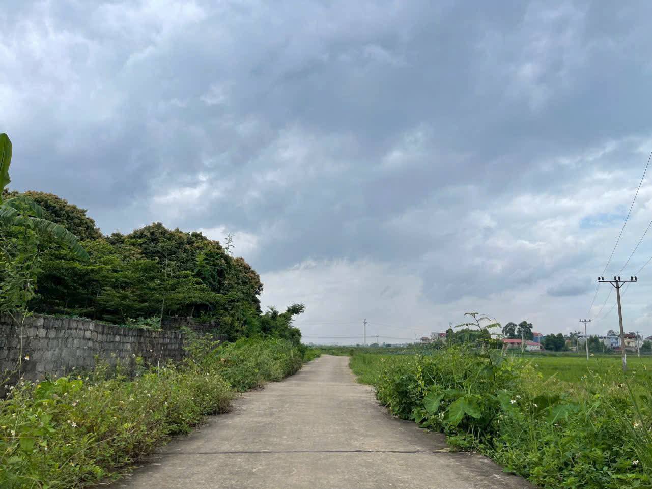 Đất thổ cư 165m2 view cánh đồng tại Lục Nam, Bắc Giang