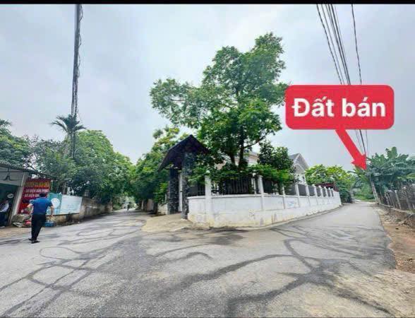 Đất đẹp Tam Đảo giá sập sàn, chốt ngay