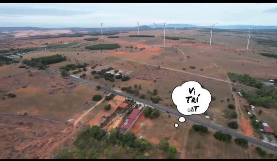 Đất mặt tiền 716B, Bình Thuận 2220m² sổ hồng riêng, mặt tiền 40m, giá hời