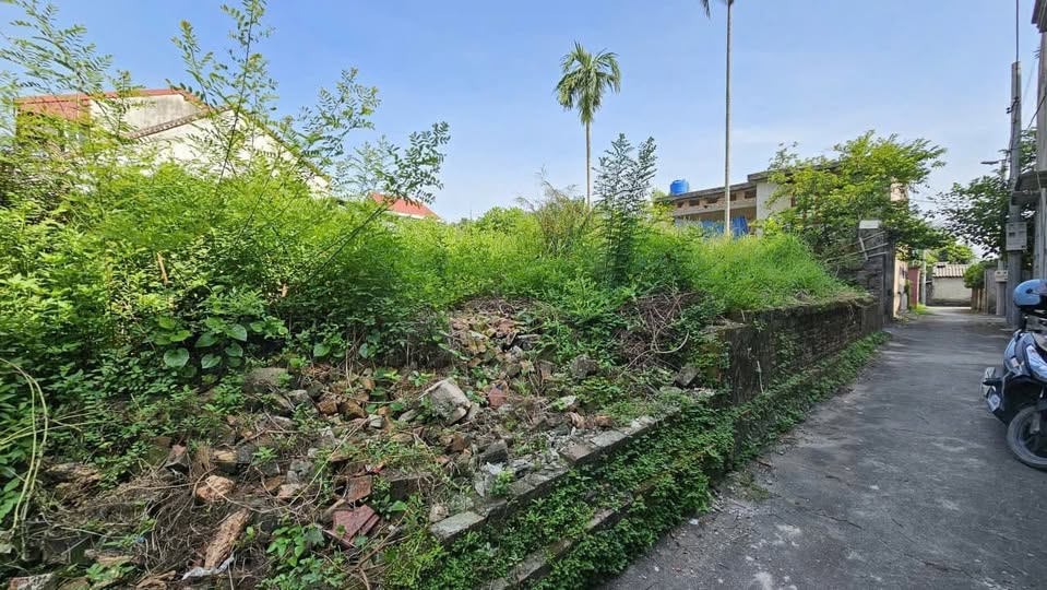 Siêu phẩm đất nền 90m2 thổ cư tại thôn An Cao, xã An Đổ, huyện Bình Lục, tỉnh Hà Nam