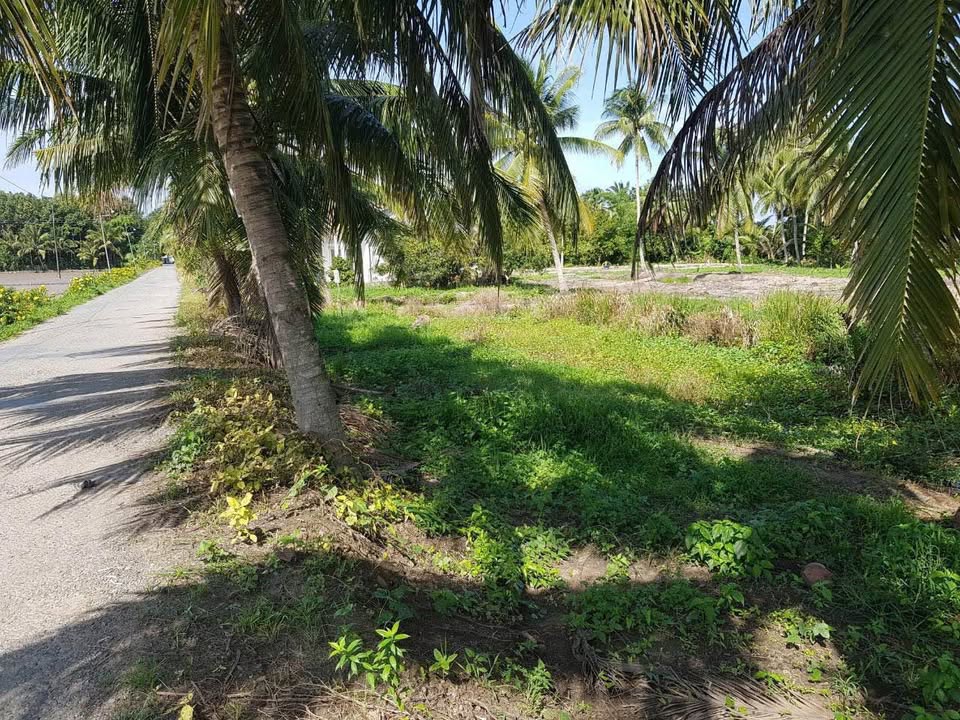 Biệt thự 538m2 vuông vức, giá mềm xèo 780 triệu