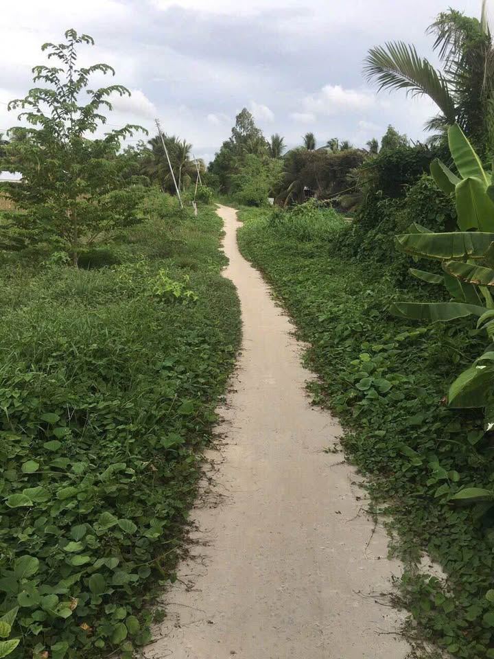 Đất xinh Thạnh Lộc giá yêu thương, đầu tư là auto lời