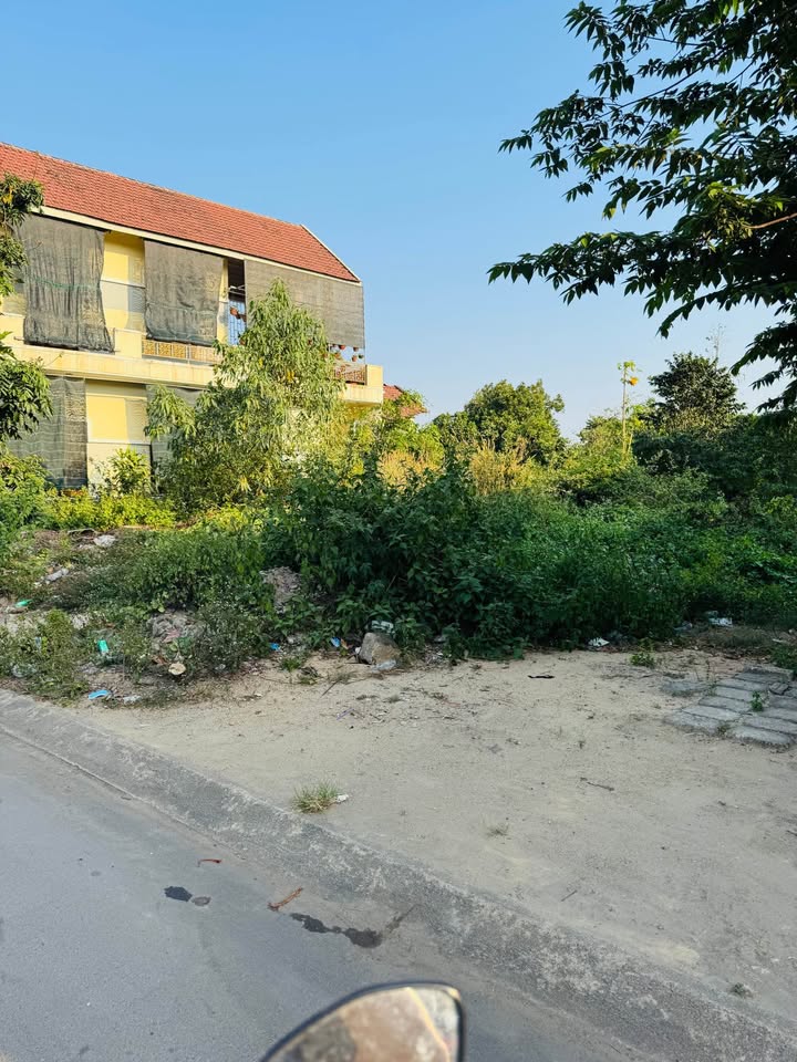 Bán đất mặt tiền đường Nguyễn Bèo, An Nhơn, diện tích 132m2, giá tốt