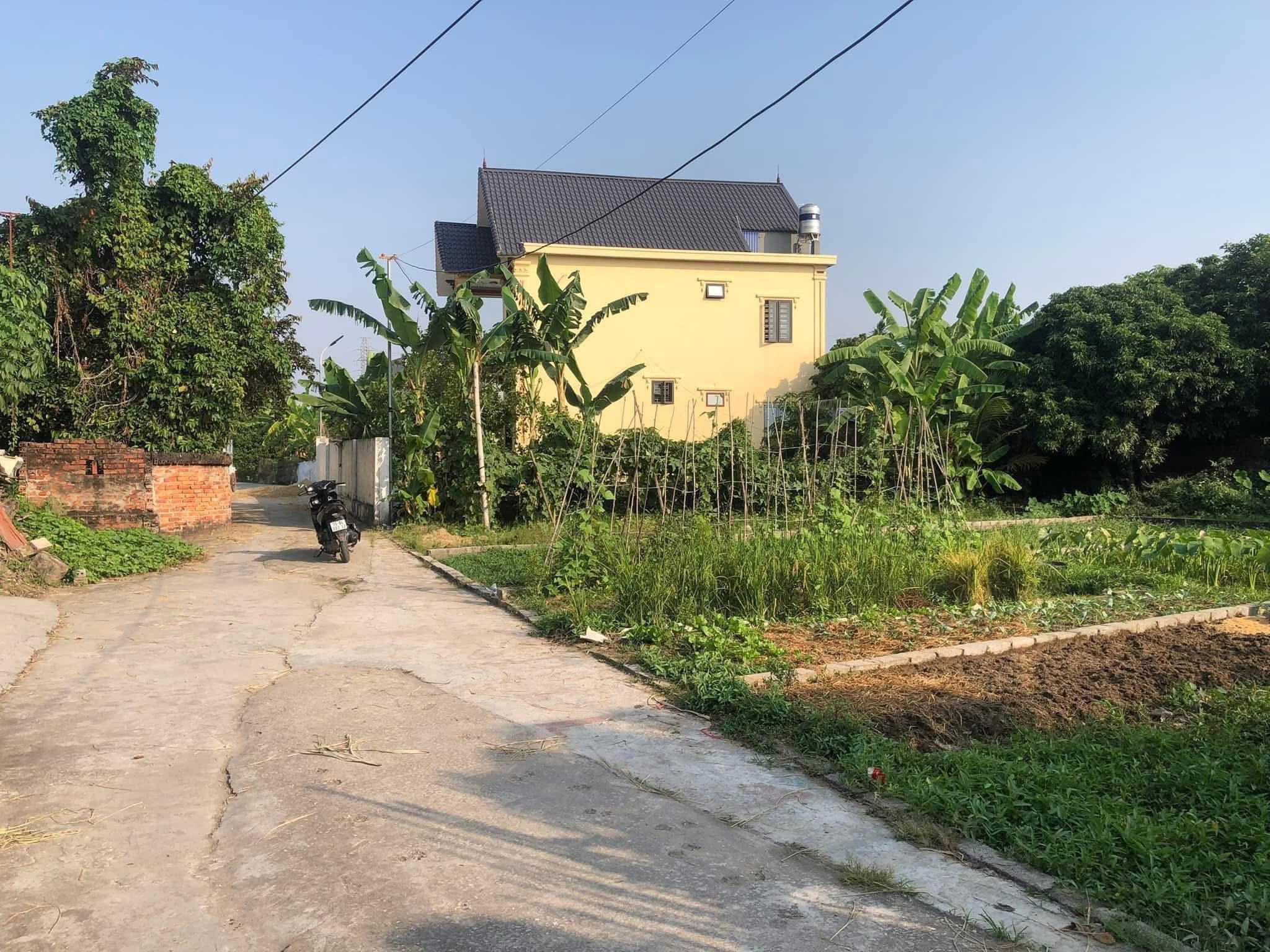 Chính chủ gửi bán lô đất siêu đẹp tại Huyện An Lão, thành phố Hải Phòng