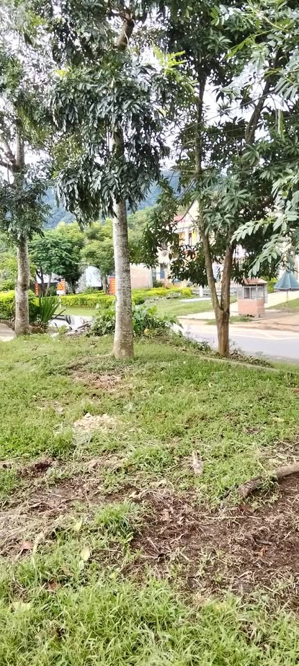 Đất mặt tiền đường Hồ Chí Minh, A Lưới - Diện tích lớn, view đẹp, kinh doanh tốt