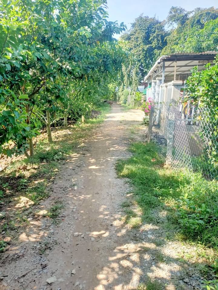 Đất vàng Hòa Bình 6.1x16m, thổ cư đầy đủ, giá hời