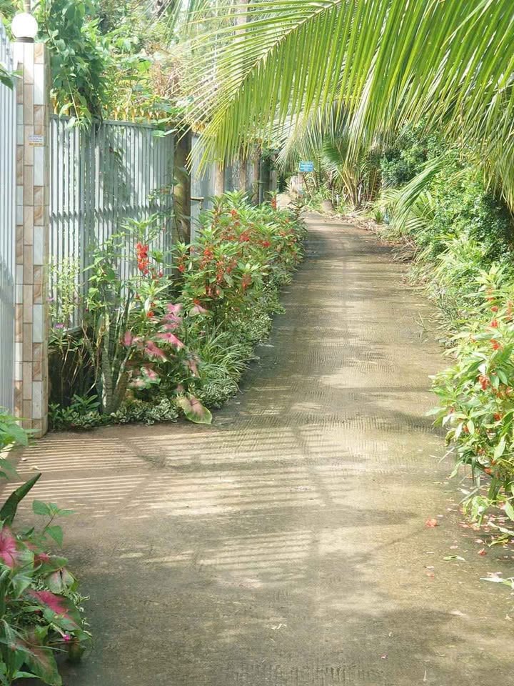 Đất vườn dừa Lương Hòa, Bến Tre - Đầu tư sinh lời ngay