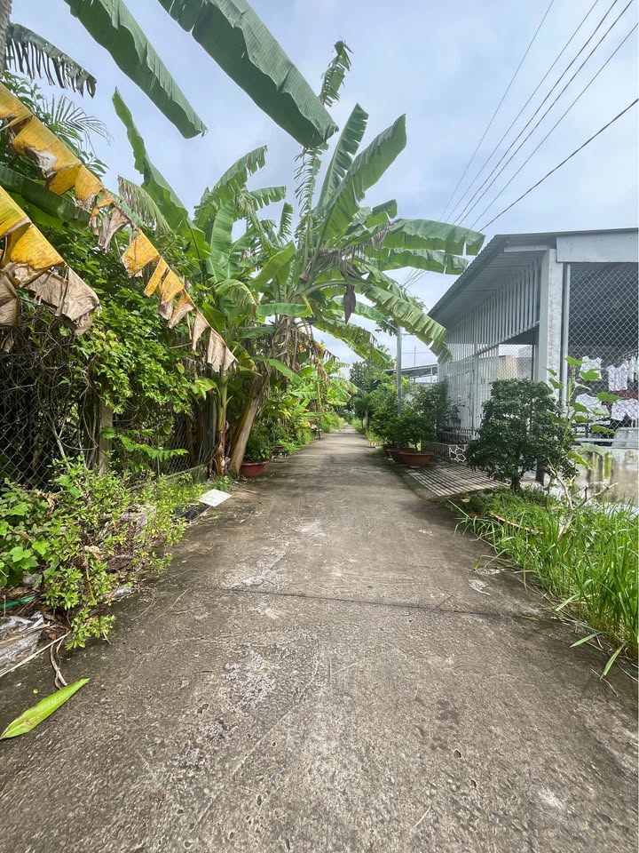 Bán nền đất tại Phường 7, Bến Tre, diện tích 132.5m2, ngang 5m, giá 1,1 tỷ