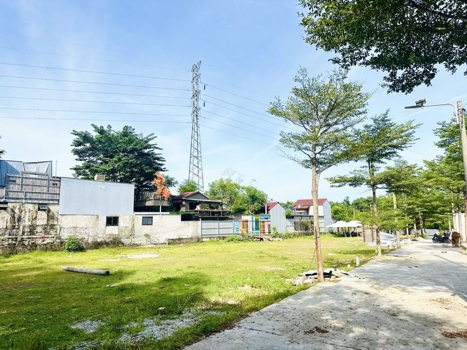 Đất vàng đối diện chợ, đường ô tô vi vu, giá hạt dẻ