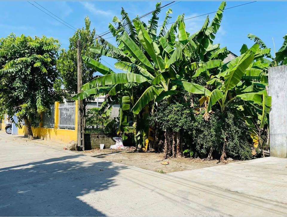 Đất đẹp Điện Bàn, đường ô tô thông, dân cư sầm uất, giá chỉ 790 triệu