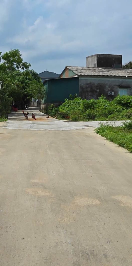 Đất vàng Liên Thanh, Trần Phú - Đầu tư sinh lời ngay