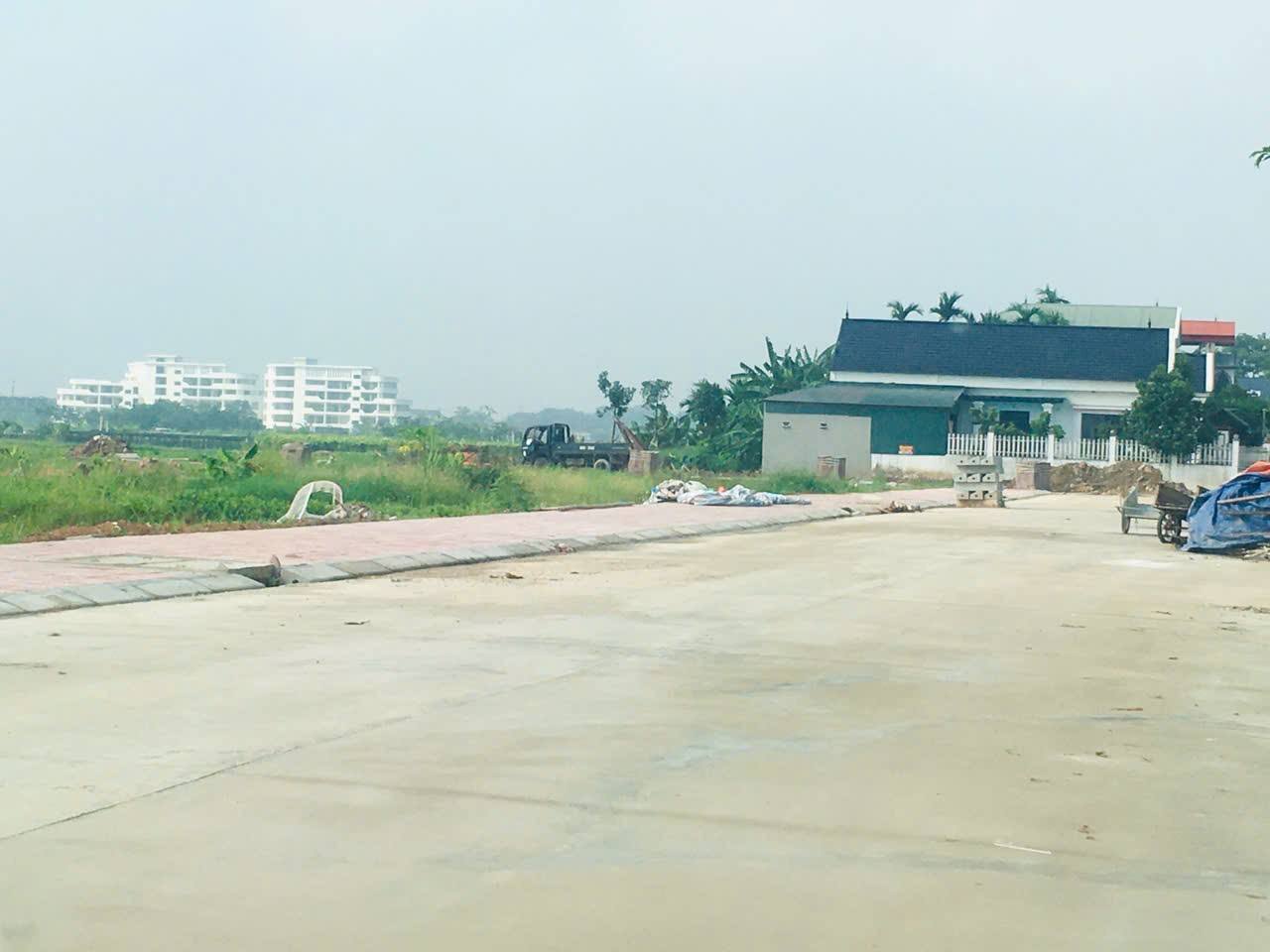 Đất vàng Vân Hội, Tam Dương - Vị trí kinh doanh đắc địa, sổ đỏ trao tay