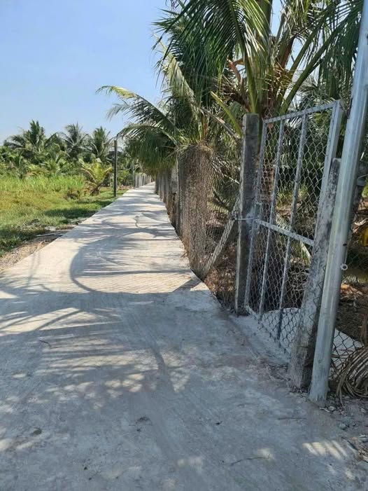 Đất vườn dừa Tam Phước, Châu Thành, Bến Tre 1.6 công, 60m2 thổ cư, giá tốt