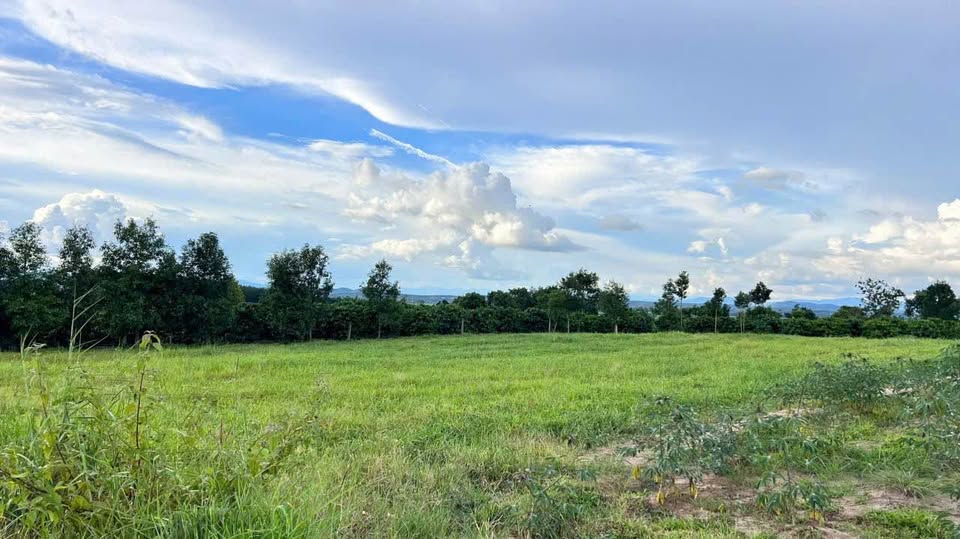 Đất Đoàn Kết, Kon Tum - Đầu tư sinh lời, tiềm năng tăng giá