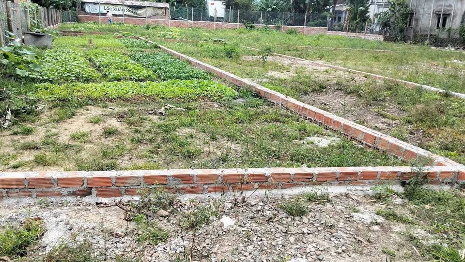 Bán đất Giang Bắc, Phước Hiệp, Tuy Phước, gần UBND xã, trường học, diện tích 130m2