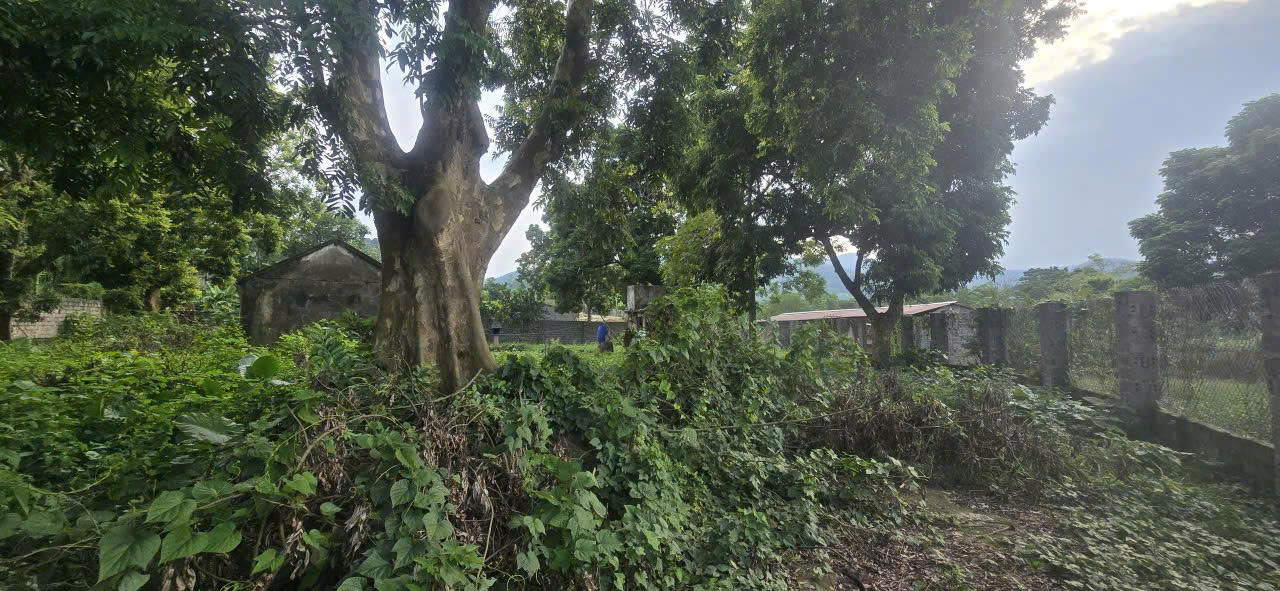 Đất Hòa Bình - View cánh đồng, gần sân golf, giá siêu rẻ